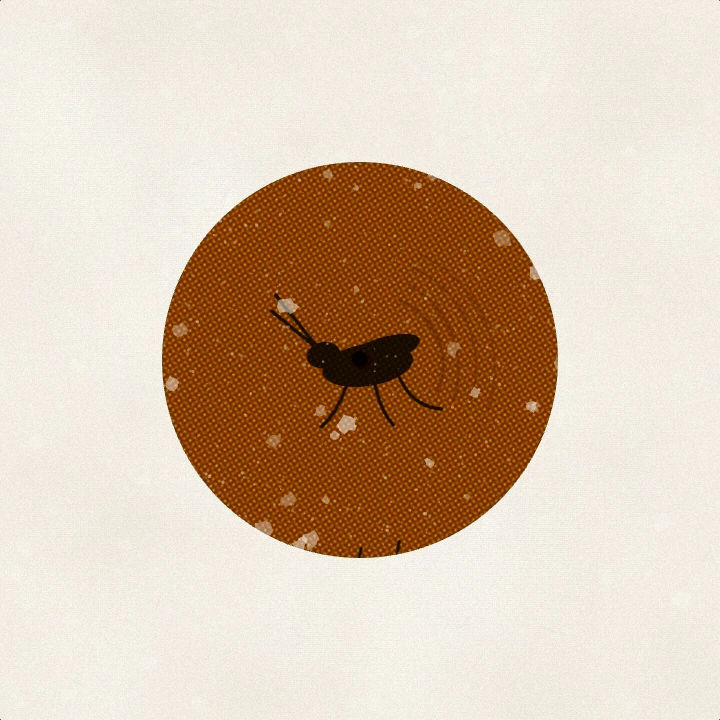 A grasshopper scene where the bright ink over the dark flood has gone brown and muddy